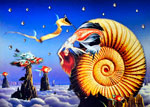 Il sogno